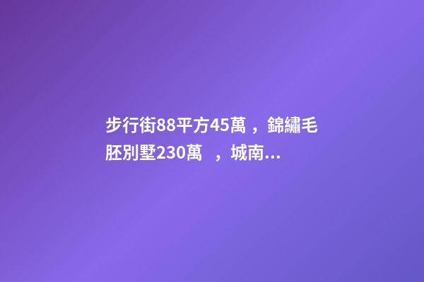 步行街88平方45萬，錦繡毛胚別墅230萬，城南自建房273平帶院165萬